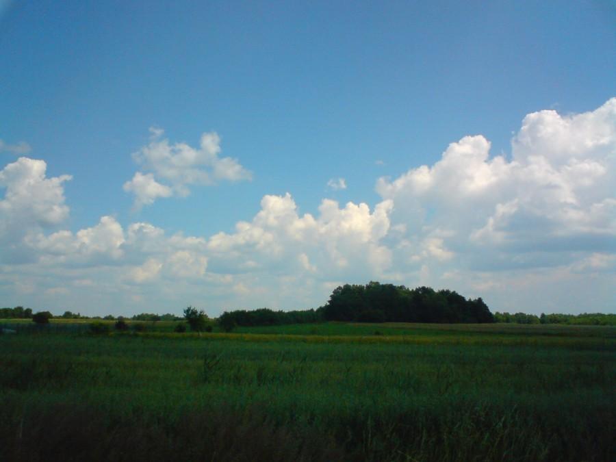 Gdzieś w stronęBud Głogowskich..
