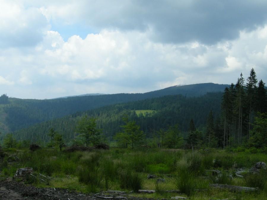 Widoczek na góry