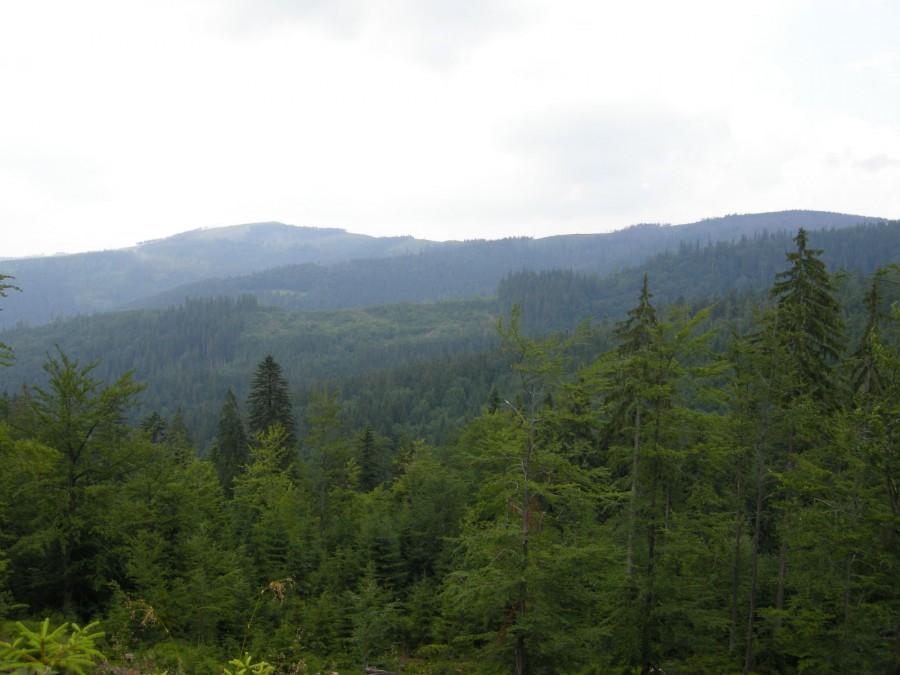 Kolejny widok