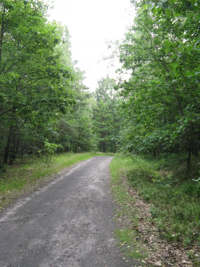 szlak
