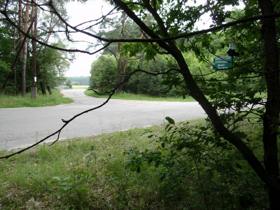 Kierunek: Barszczok, Stasiowe