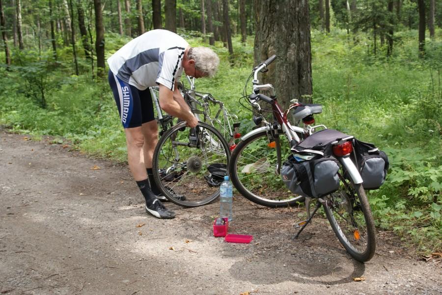 Pana, tak to ktoś skomentował