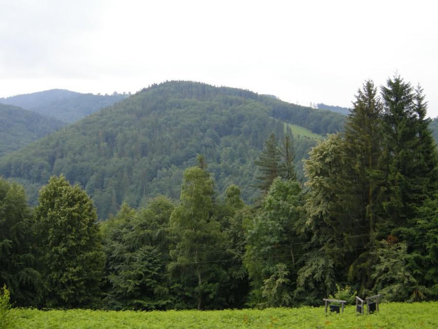 Widok z podjazdu na Równicę