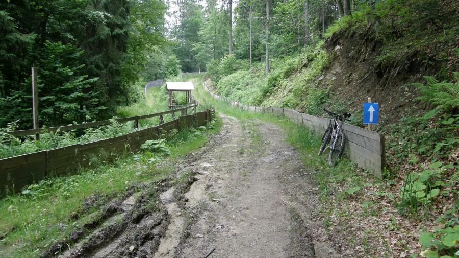 Podjazd po torze saneczkowym