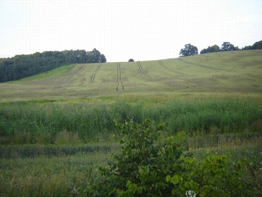 Akcja Przezmark