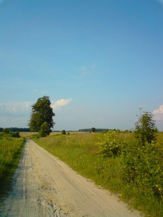 Droga gdzieś koło lotniska