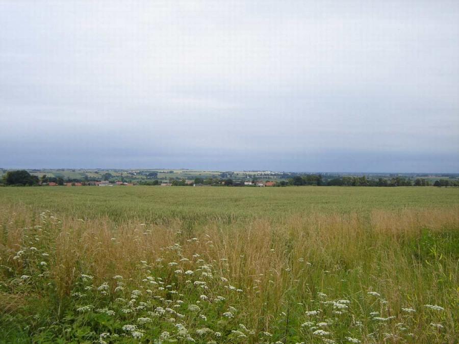 Święty Gaj - plener