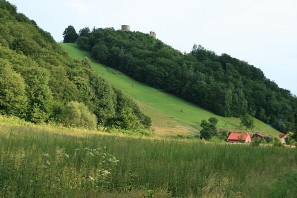 Zamek w Rytrze