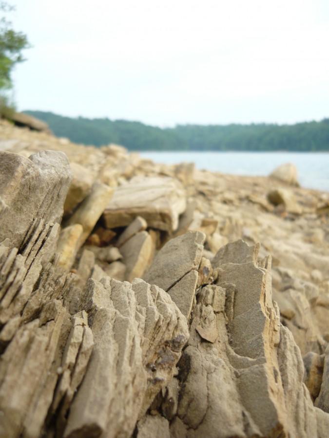 Brzeg nad Soliną w okolicach Jawora