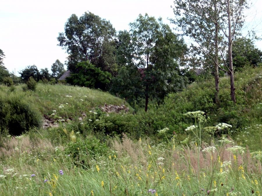 Rezerwat w Skorocicach