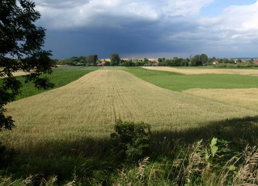 Deszczowe chmury nad polami