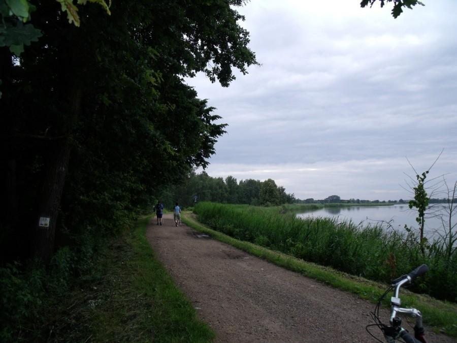 Zabrzeszak