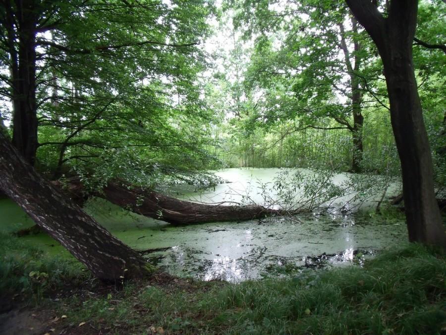 uroczysko