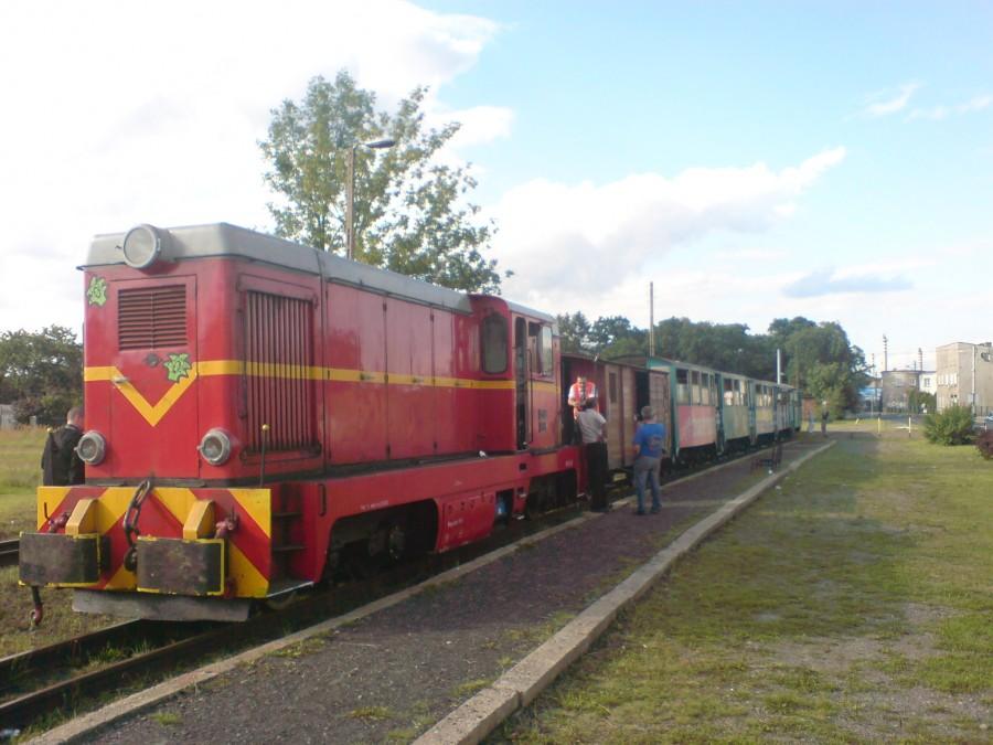 Pociąg Górnośląskich Kolei Wąskotorowych