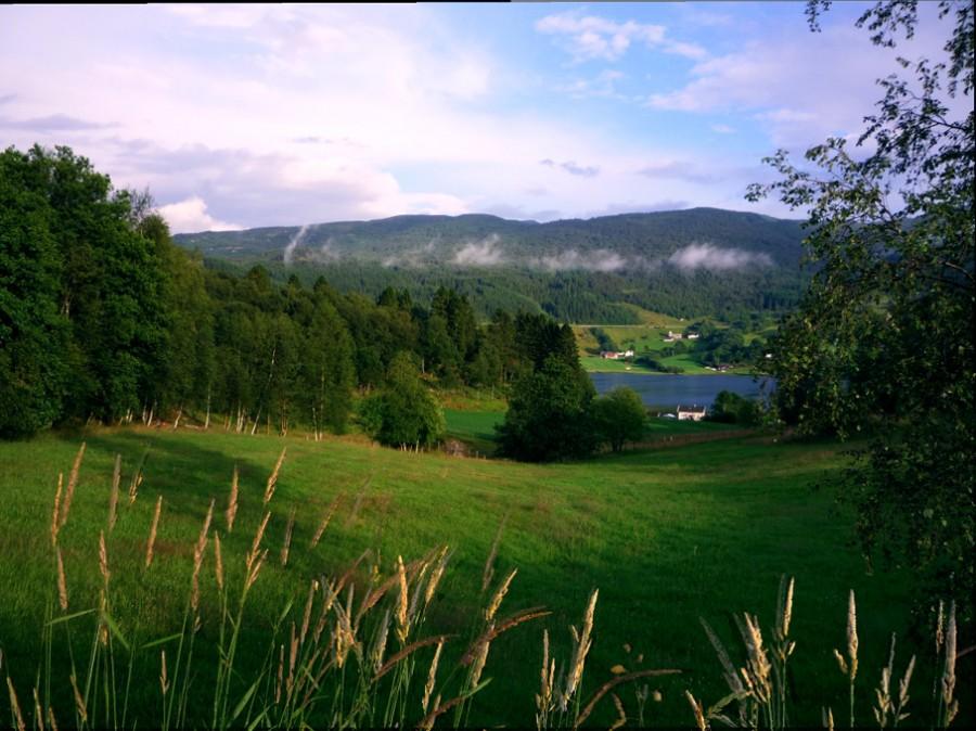 Widoczek, Etne.