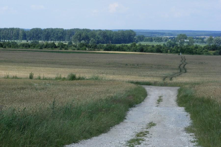 Droga przez pola