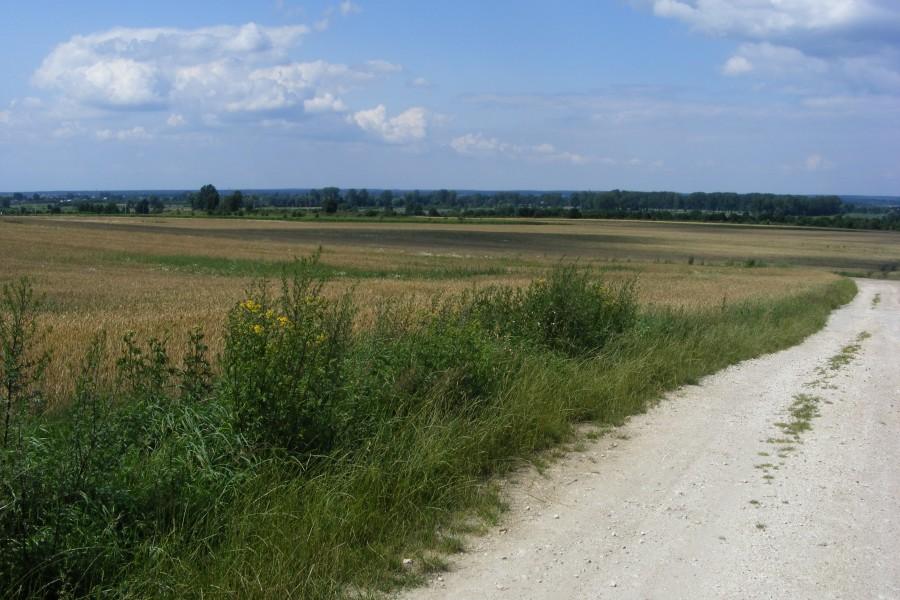 Pola po raz kolejny;)
