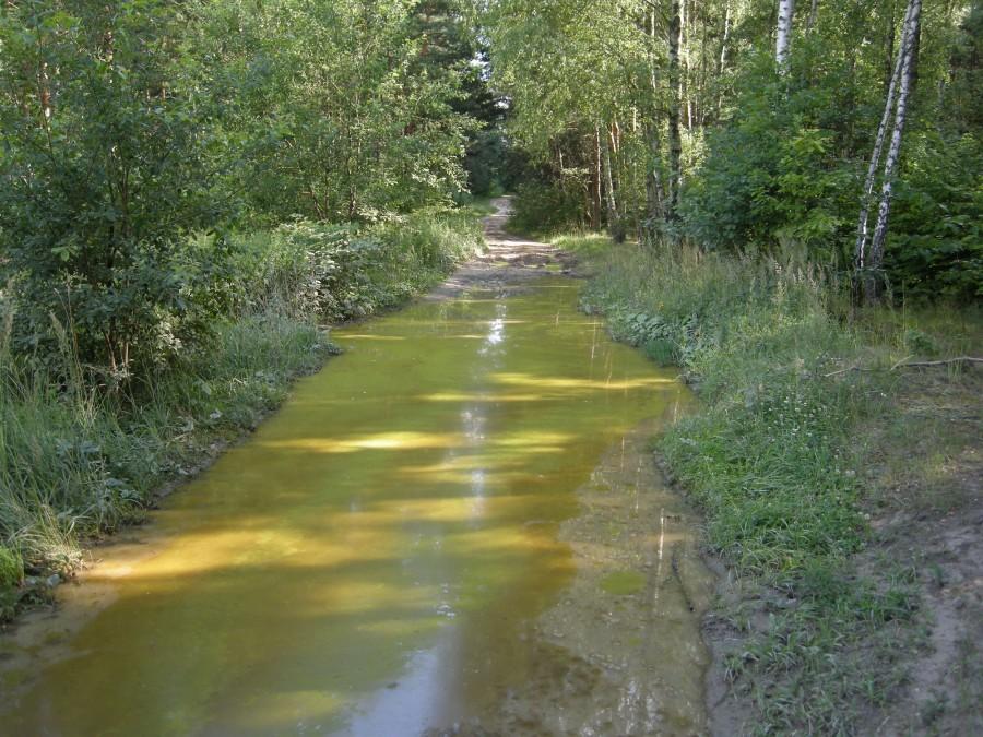 Kałuża