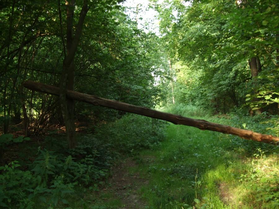 naturalna blokada