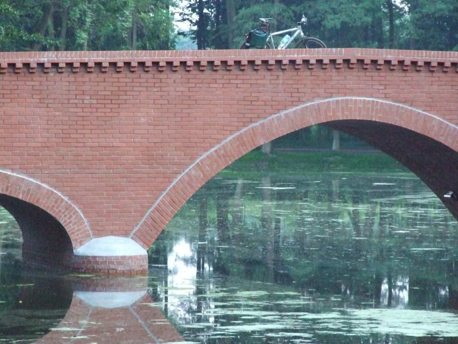 Staw w Młochowie