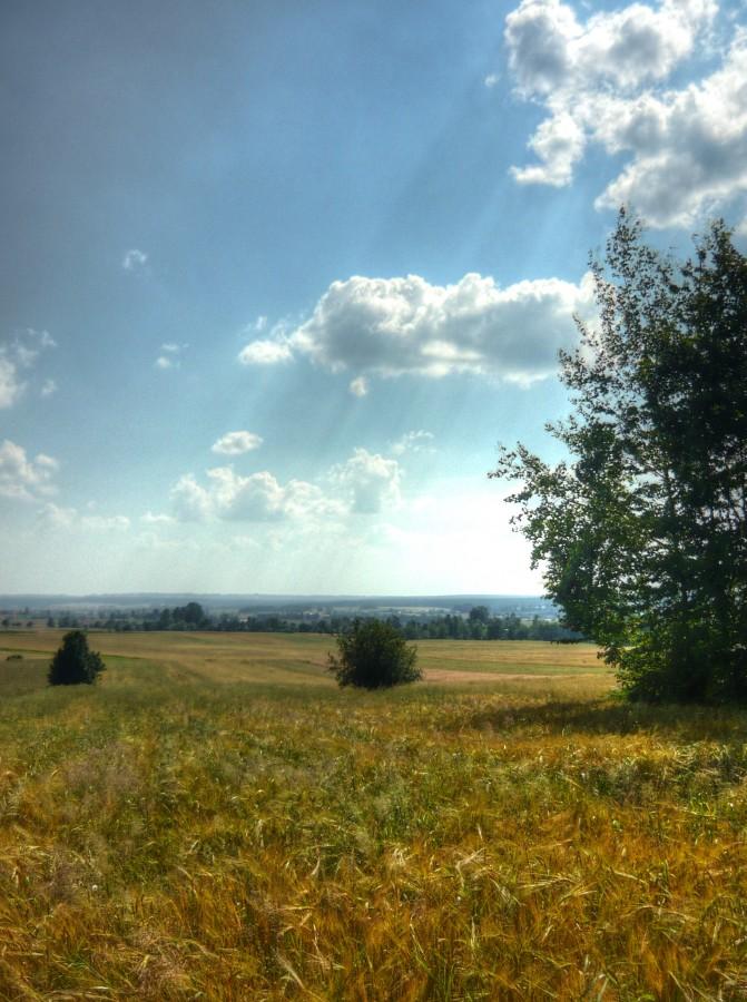 Widok z Pasma Jeleniowskiego