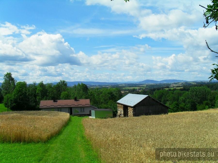 widoczki