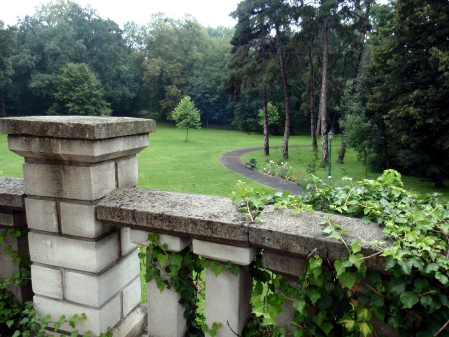 Z tarasu widok na park
