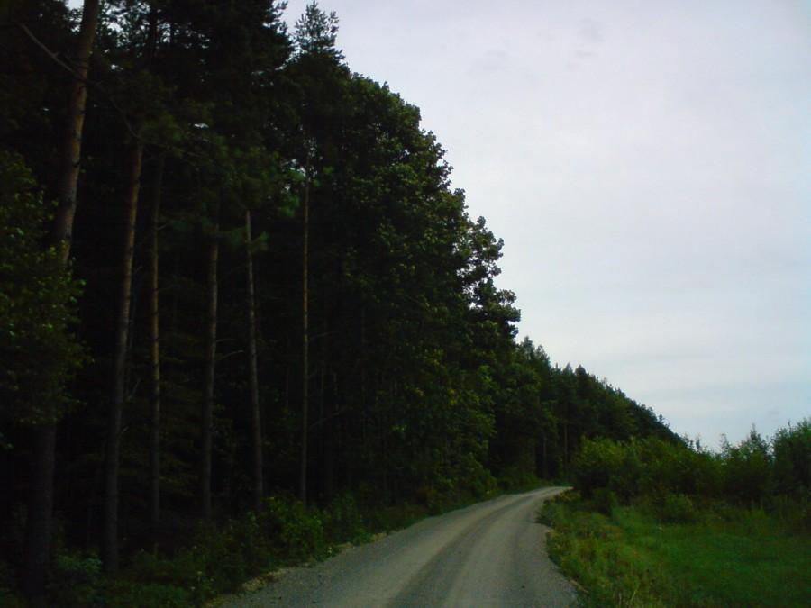 Na tej drodze przed chwilą był v-max:)