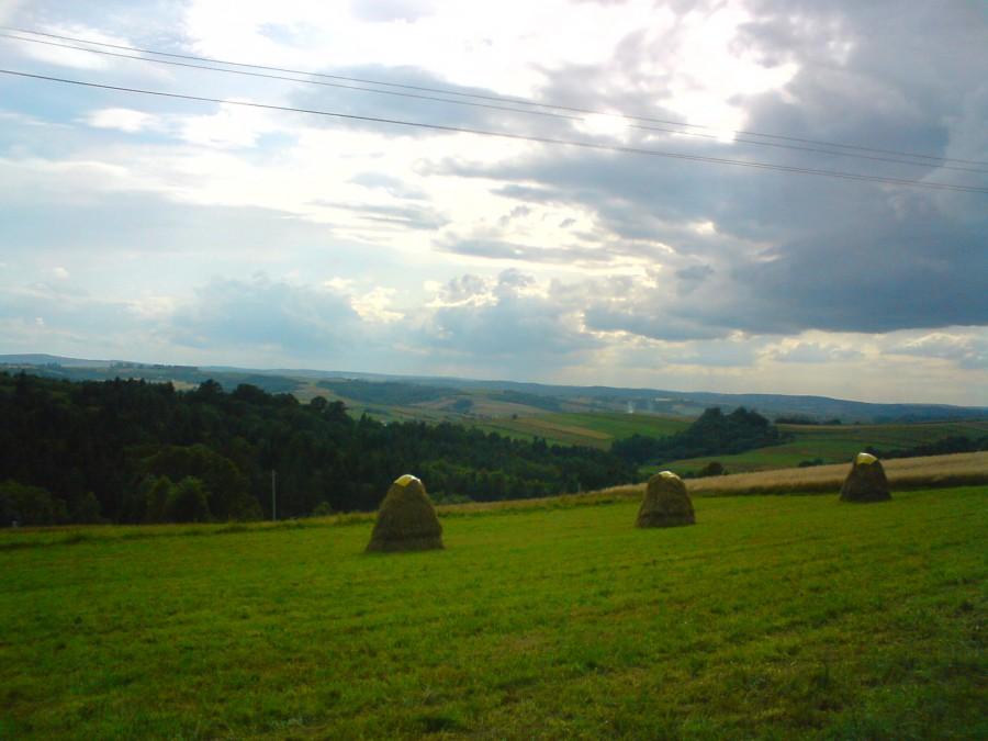 Widok z Borówek
