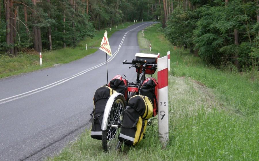 Asfaltowa szosa przez las