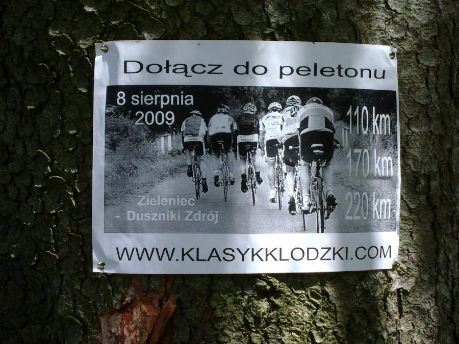 w okolicach zieleńca na drzewie