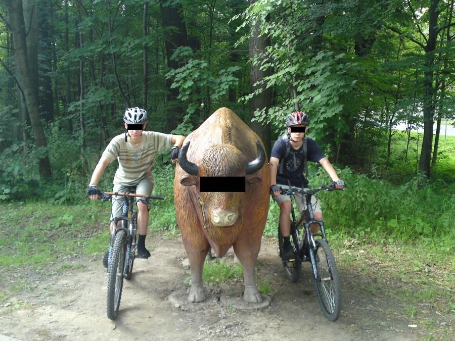 Incognito