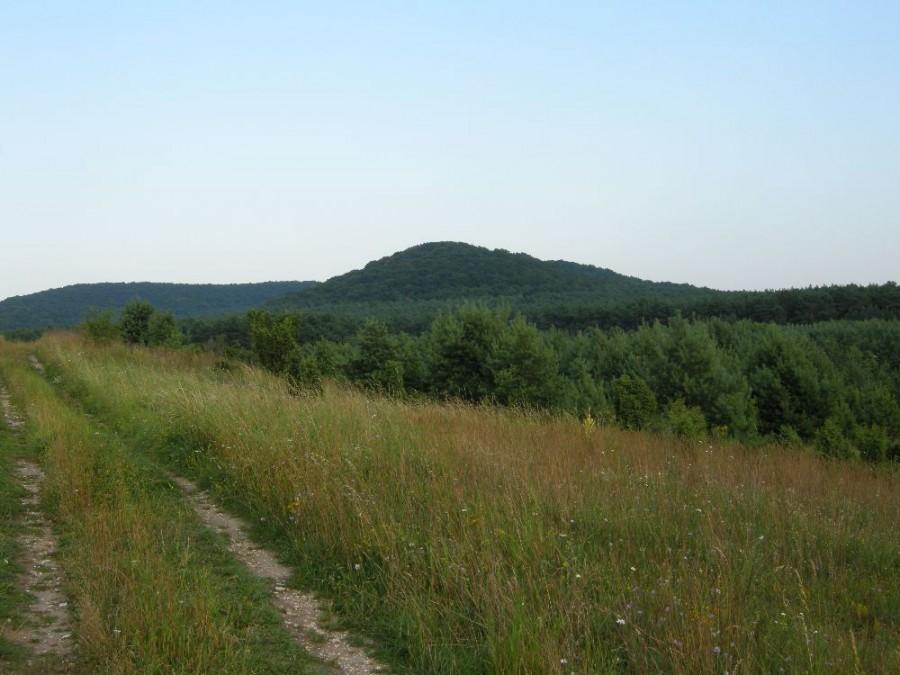 Widok na górkę w sokolich - chyba Pielgrzym