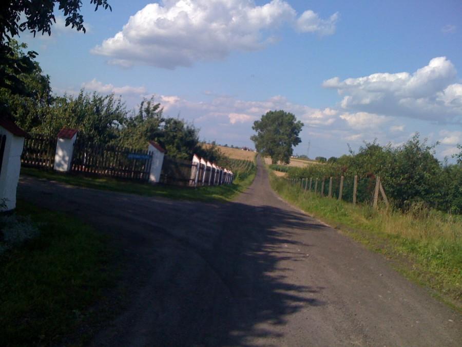 Dróżka