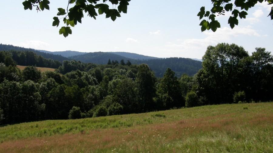 Widok w drodze na Przełęcz Jaworową