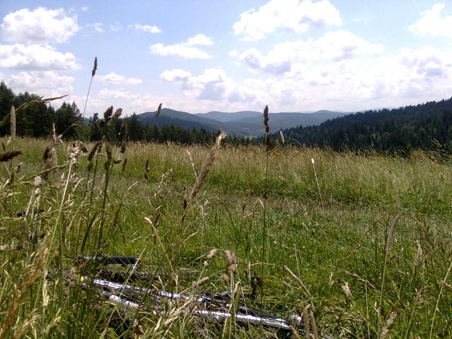 Krynica, na trasie maratonu.