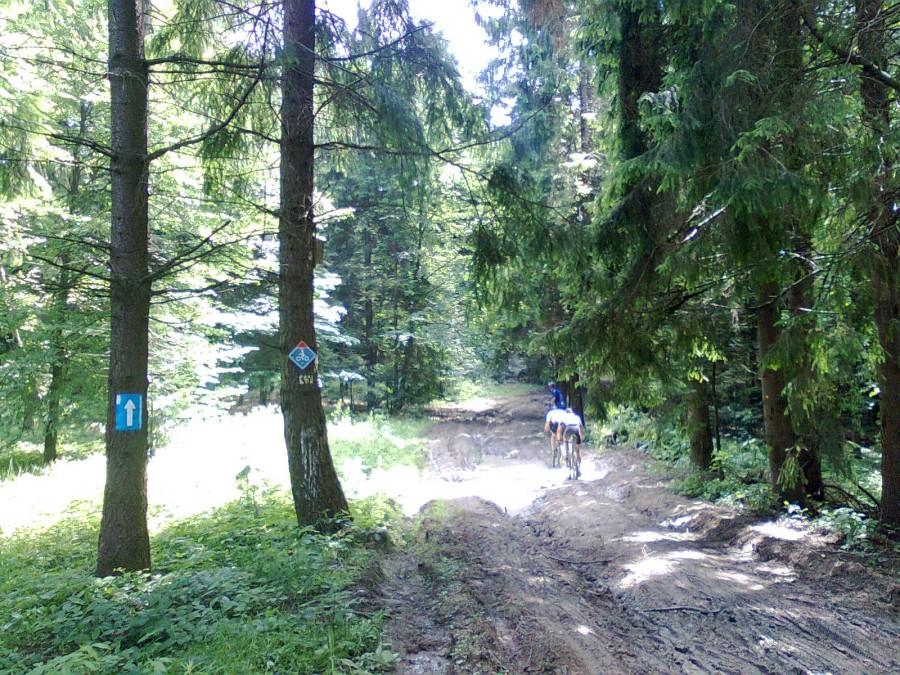 Krynica, na trasie maratonu.