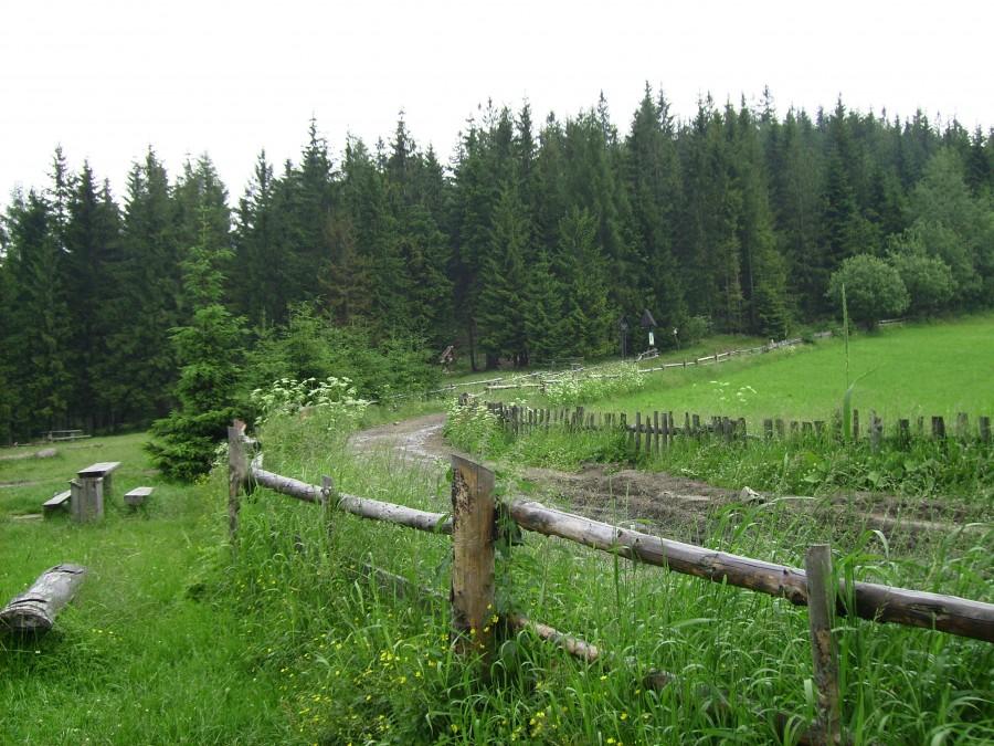 Droga na Turbacz od schroniska Stare Wierchy