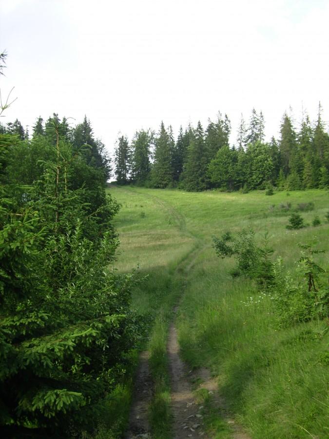 Zjazd do Kowańca.