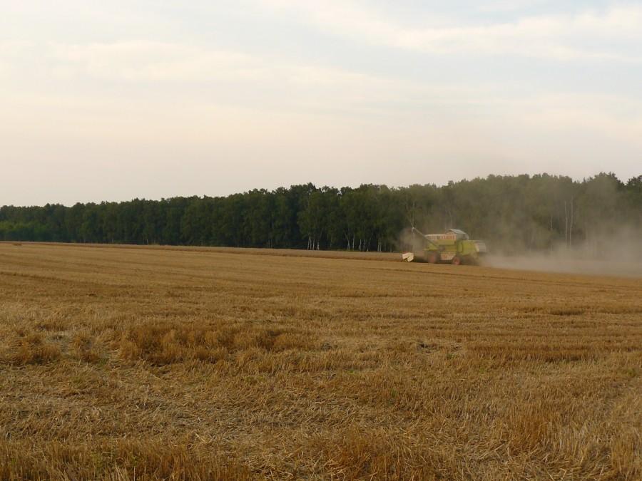 Sierpień - już czas na żniwa