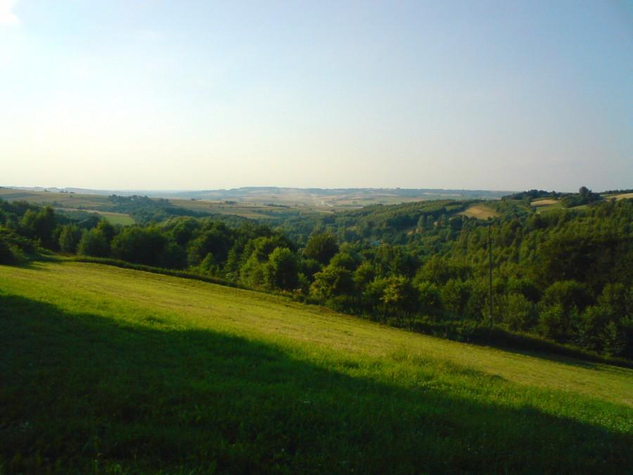 Widok gdzieś w Niechobrzu