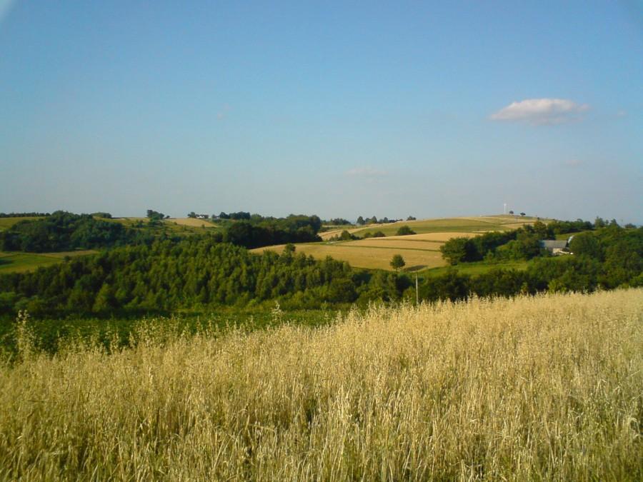 Widok w stronę Krzyża Milenijnego w Niechobrzu
