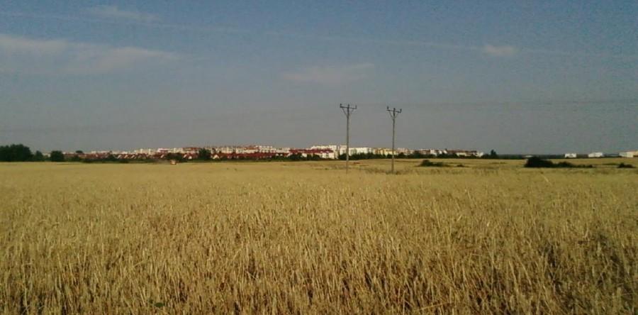 Panorama Lubin