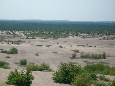 Pustynia Błędowska