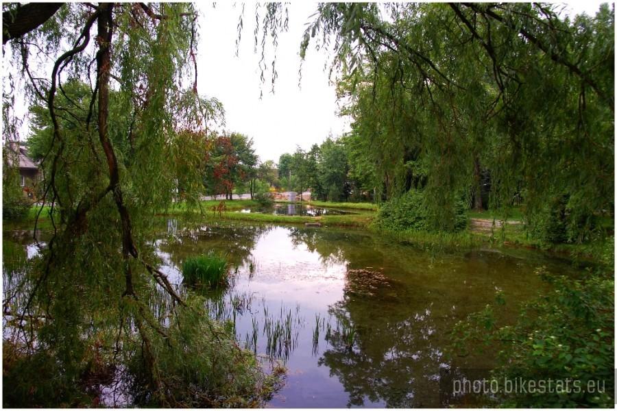 Staw w Strzemieszycach Wielkich (Dąbrowa Górnicza)