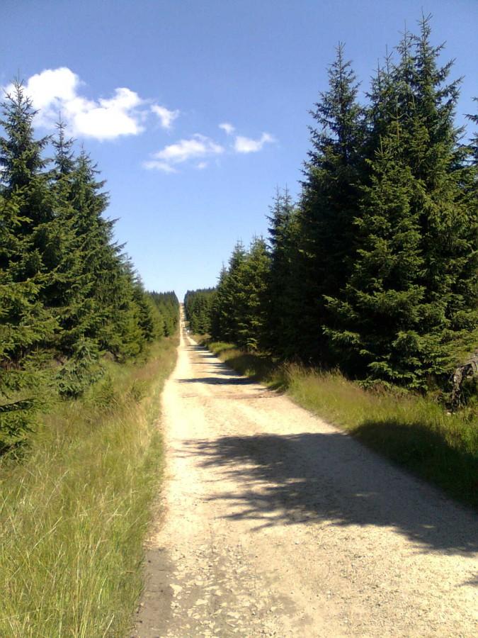 Świeradów Zdrój bike maraton - trasa