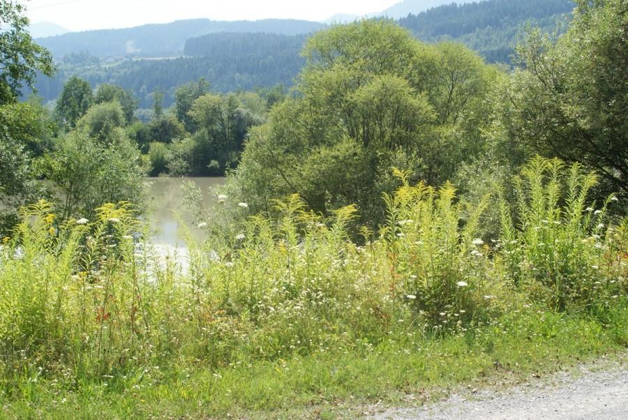 widok z Drauweg