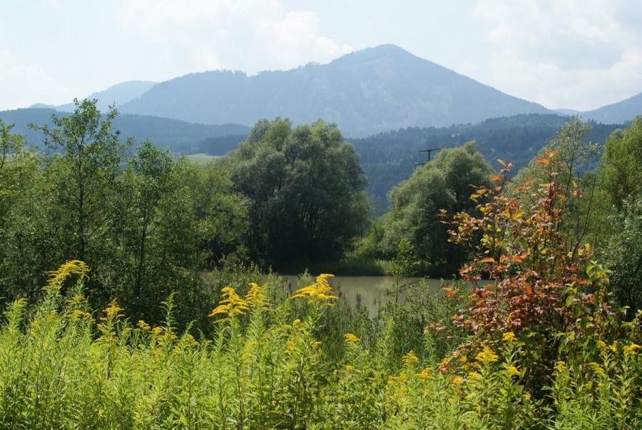 widok z Drauweg