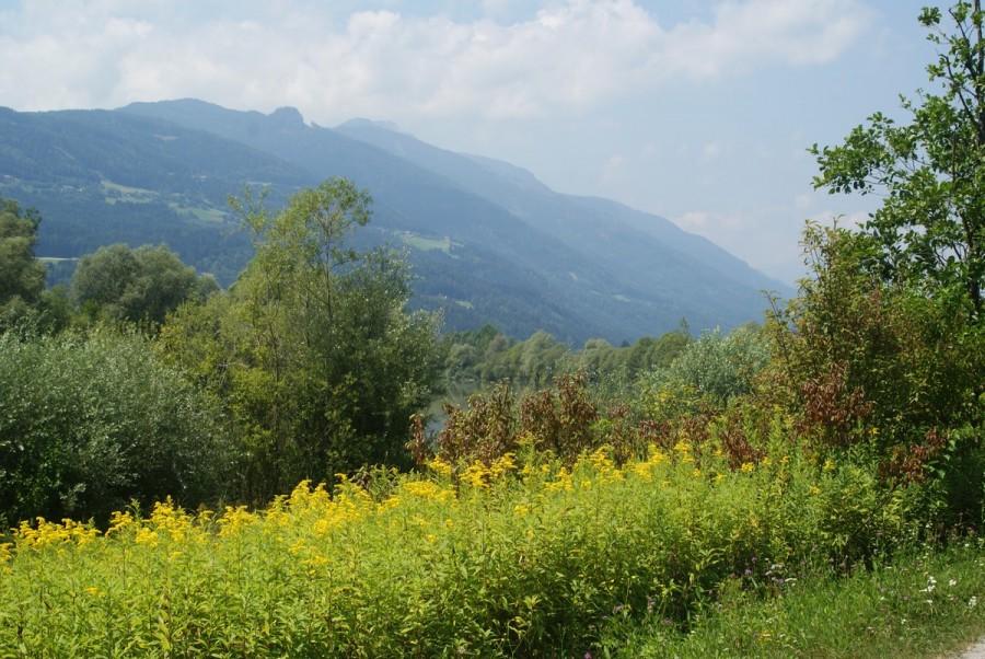 widok z Drauweg