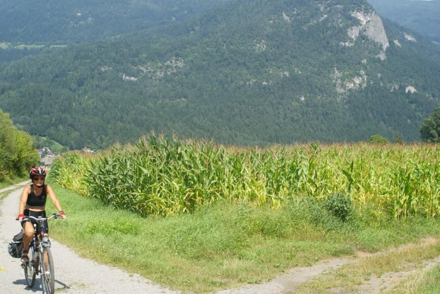 widok z Drauweg